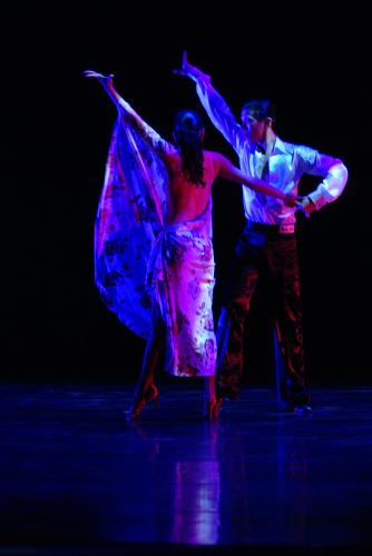 拉丁風情歌與舞（2012）